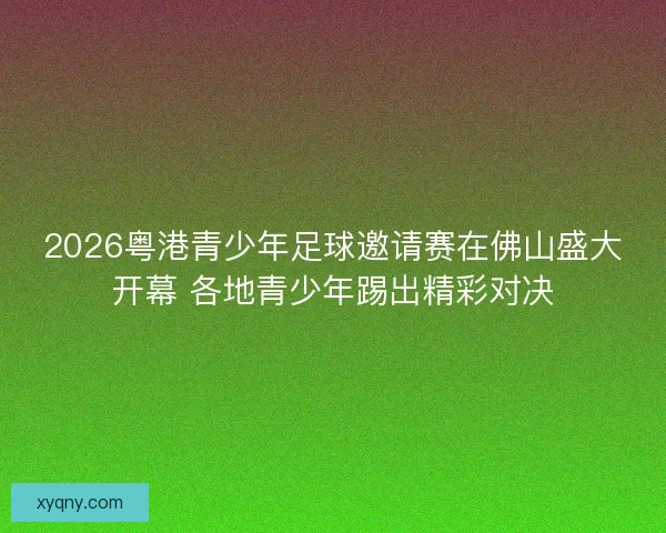 2026粤港青少年足球邀请赛在佛山盛大开幕 各地青少年踢出精彩对决
