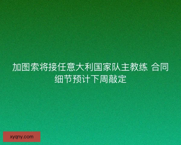 加图索将接任意大利国家队主教练 合同细节预计下周敲定