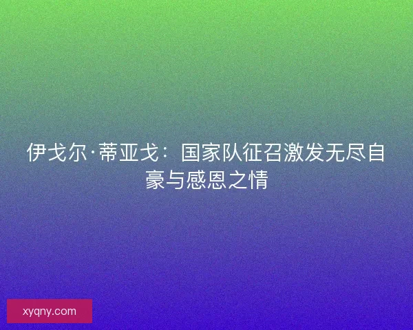 伊戈尔·蒂亚戈：国家队征召激发无尽自豪与感恩之情