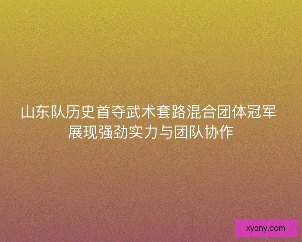 山东队历史首夺武术套路混合团体冠军 展现强劲实力与团队协作